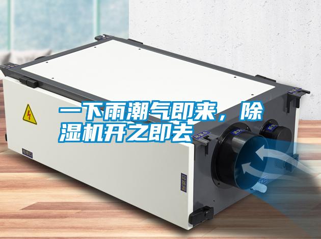 一下雨潮氣即來，除濕機開之即去