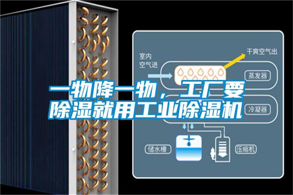 一物降一物，工廠要除濕就用工業(yè)除濕機