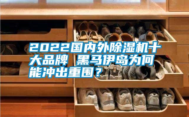 2022國內外除濕機十大品牌 黑馬伊島為何能沖出重圍?