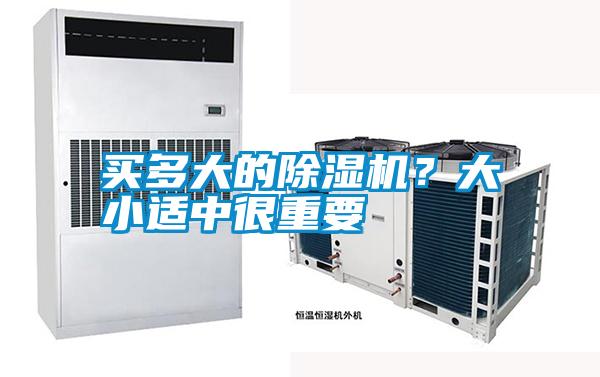 買多大的除濕機？大小適中很重要