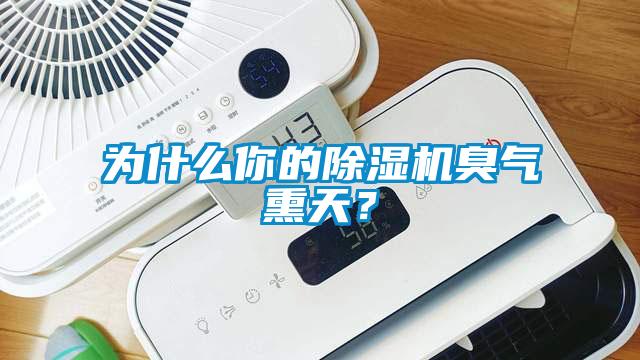 為什么你的除濕機臭氣熏天？