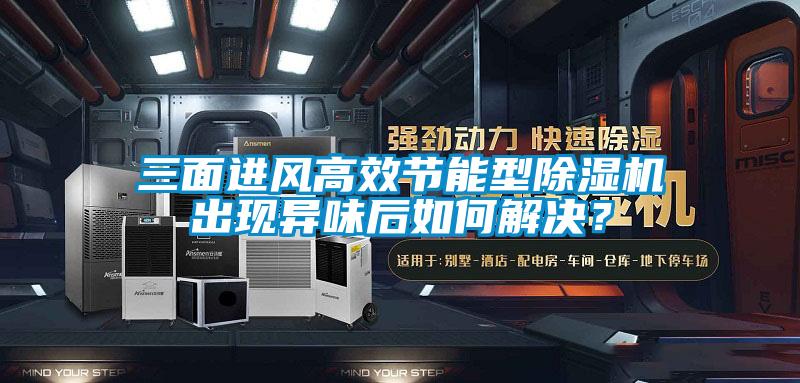 三面進風(fēng)高效節(jié)能型除濕機出現(xiàn)異味后如何解決?