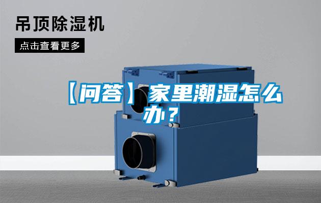 【問答】家里潮濕怎么辦？