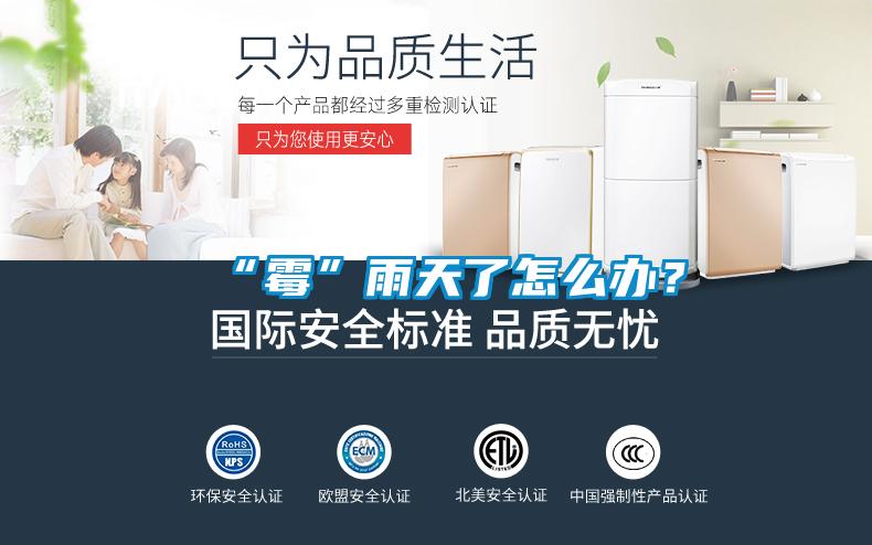 “霉”雨天了怎么辦？