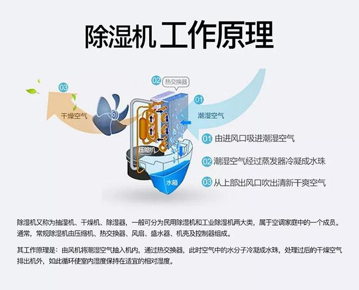 為室內(nèi)綠化園添置除濕機(jī)需要考慮哪些因素？