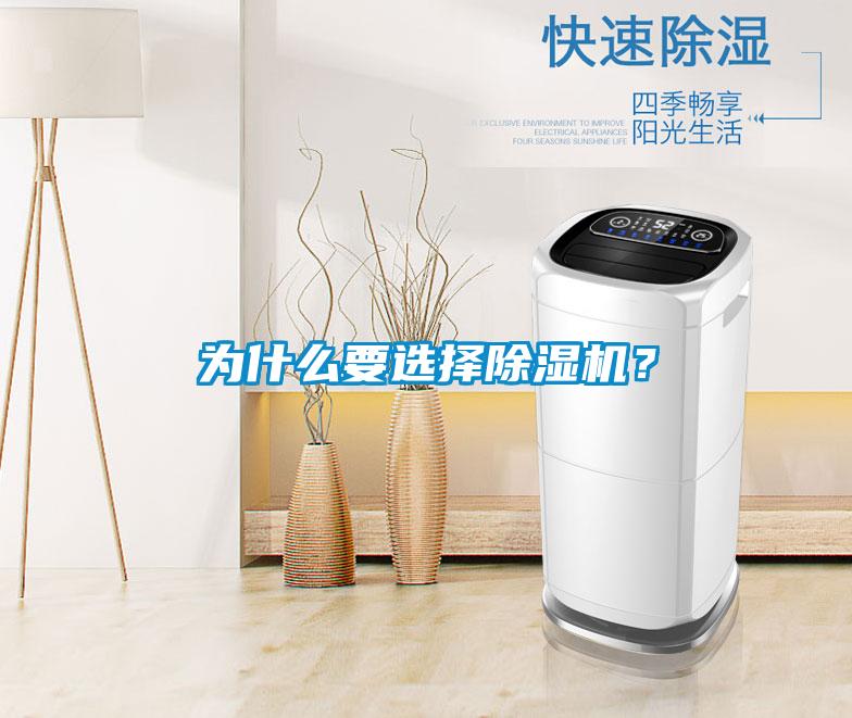為什么要選擇除濕機？