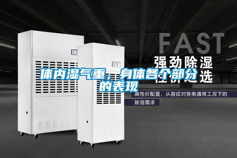 體內(nèi)濕氣重，身體各個部分的表現(xiàn)