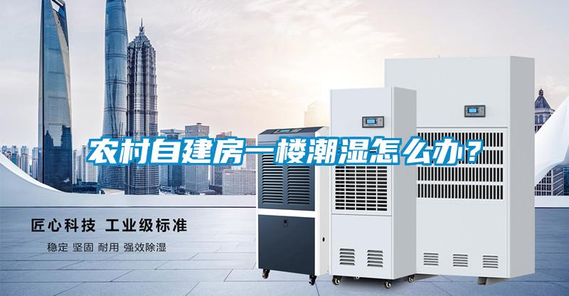 農(nóng)村自建房一樓潮濕怎么辦?