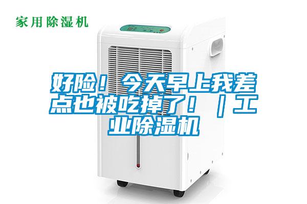 好險！今天早上我差點也被吃掉了?。I除濕機