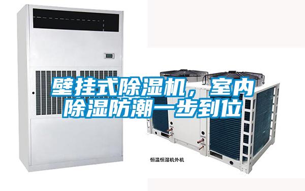 壁掛式除濕機，室內除濕防潮一步到位