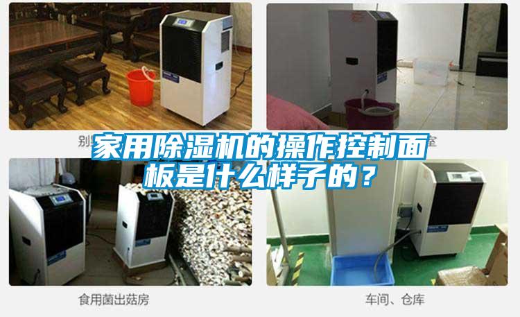 家用除濕機的操作控制面板是什么樣子的？