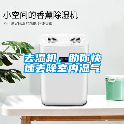 去濕機，助你快速去除室內濕氣