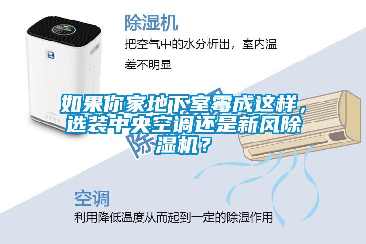 如果你家地下室霉成這樣，選裝中央空調還是新風除濕機？