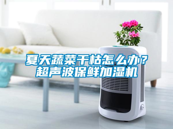 夏天蔬菜干枯怎么辦？超聲波保鮮加濕機