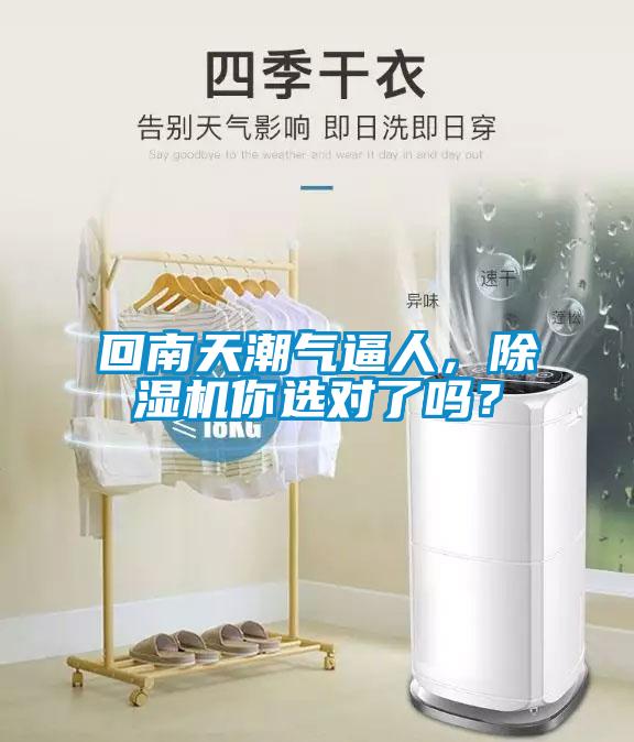 回南天潮氣逼人，除濕機你選對了嗎？