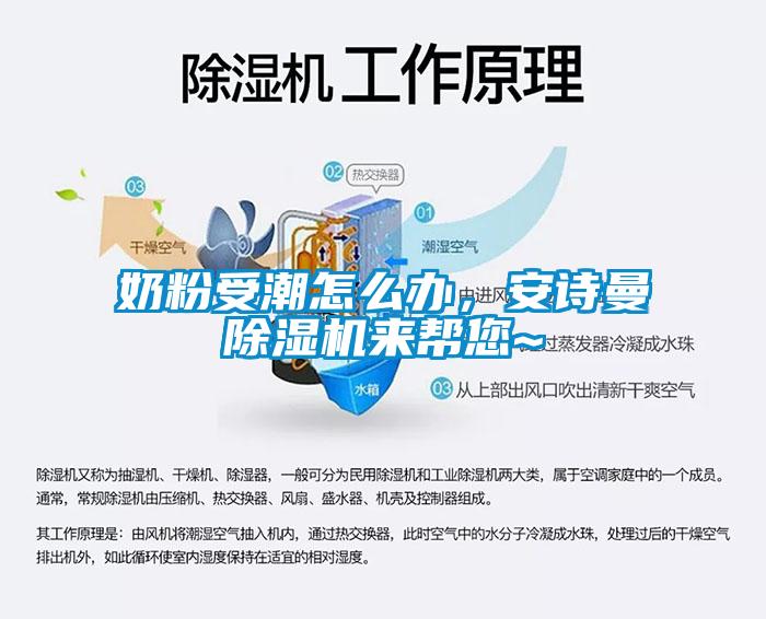 奶粉受潮怎么辦，安詩曼除濕機來幫您~