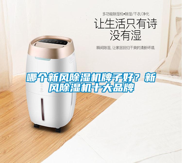 哪個新風除濕機牌子好？新風除濕機十大品牌