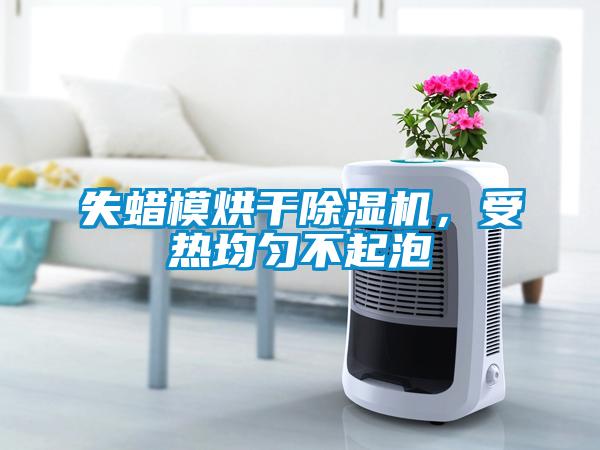 失蠟?zāi):娓沙凉駲C(jī),受熱均勻不起泡