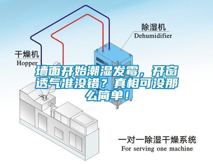 墻面開始潮濕發(fā)霉，開窗透氣準(zhǔn)沒錯？真相可沒那么簡單！