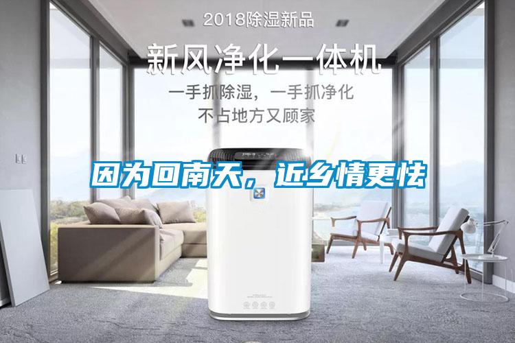 因?yàn)榛啬咸?，近鄉(xiāng)情更怯