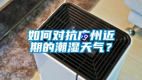 如何對抗廣州近期的潮濕天氣？
