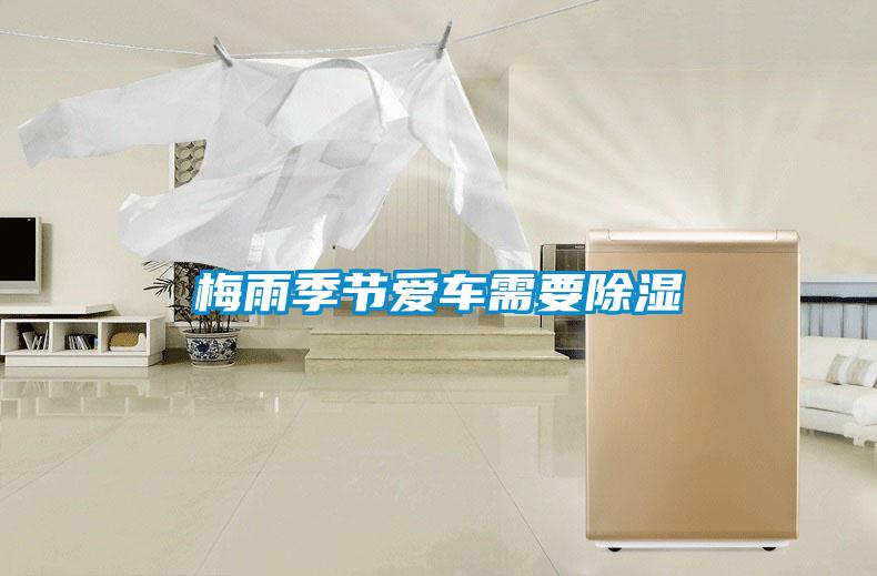 梅雨季節(jié)愛(ài)車需要除濕