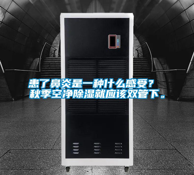 患了鼻炎是一種什么感受? 秋季空凈除濕就應該雙管下。