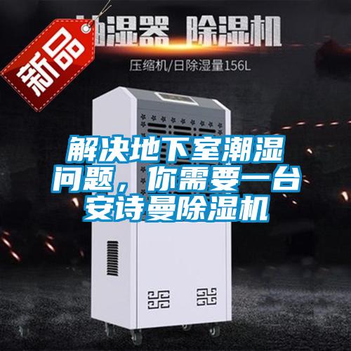 解決地下室潮濕問題，你需要一臺(tái)安詩曼除濕機(jī)