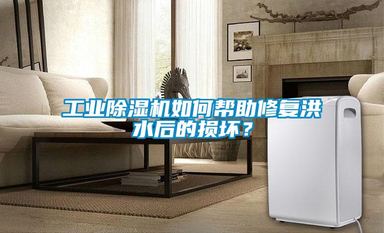 工業除濕機如何幫助修復洪水后的損壞？
