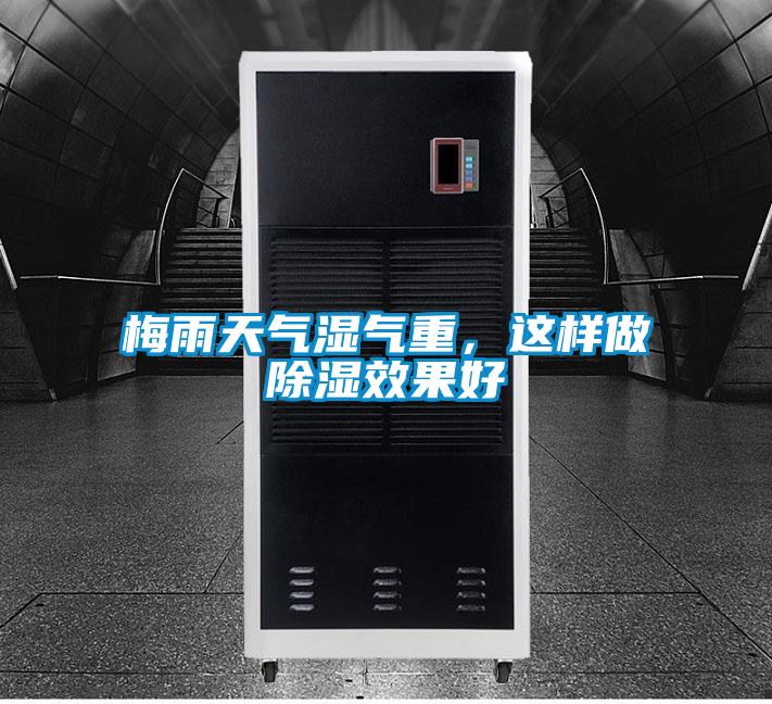 梅雨天氣濕氣重,這樣做除濕效果好