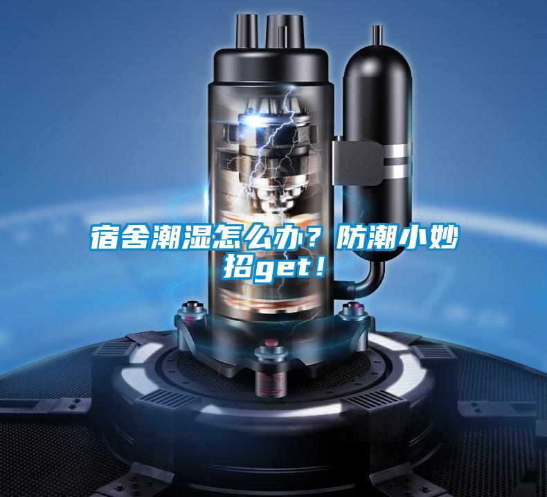 宿舍潮濕怎么辦?防潮小妙招g(shù)et!