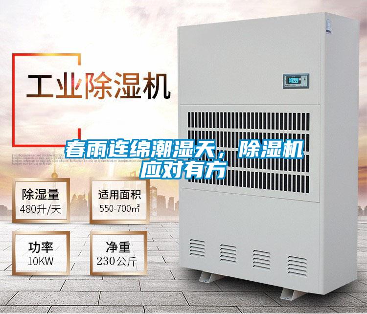 春雨連綿潮濕天，除濕機應對有方