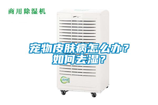 寵物皮膚病怎么辦？如何去濕？