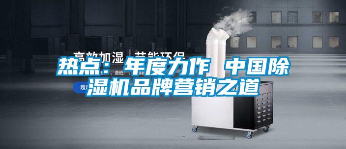 熱點(diǎn):年度力作 中國(guó)除濕機(jī)品牌營(yíng)銷之道
