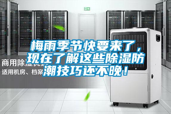梅雨季節快要來了,現在了解這些除濕防潮技巧還不晚!