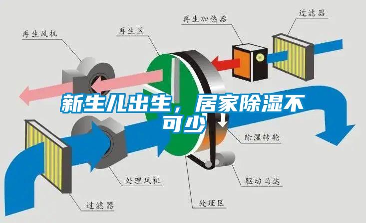 新生兒出生，居家除濕不可少