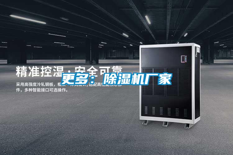 更多：除濕機廠家