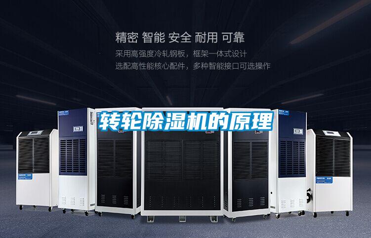 轉(zhuǎn)輪除濕機(jī)的原理
