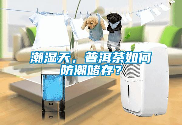 潮濕天，普洱茶如何防潮儲存？