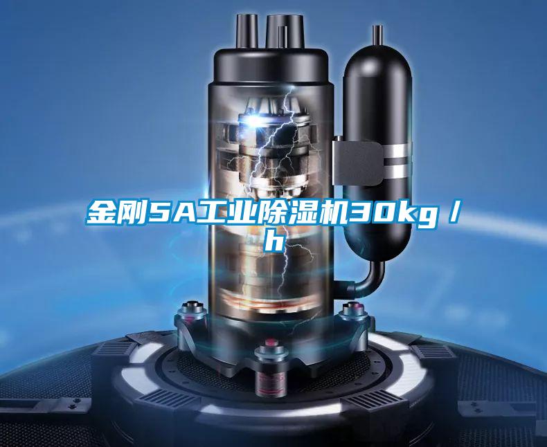 金剛5A工業(yè)除濕機30kg/h