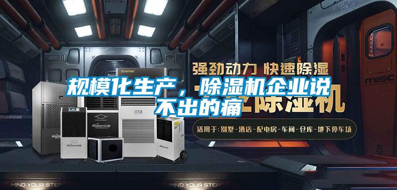 規(guī)模化生產(chǎn),除濕機(jī)企業(yè)說(shuō)不出的痛