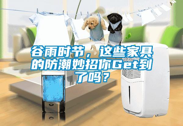 谷雨時節,這些家具的防潮妙招你Get到了嗎?