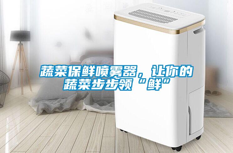 蔬菜保鮮噴霧器，讓你的蔬菜步步領“鮮”
