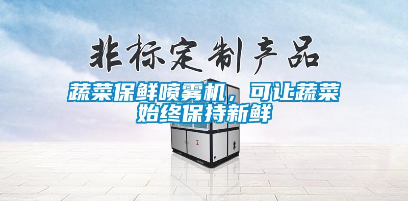 蔬菜保鮮噴霧機，可讓蔬菜始終保持新鮮