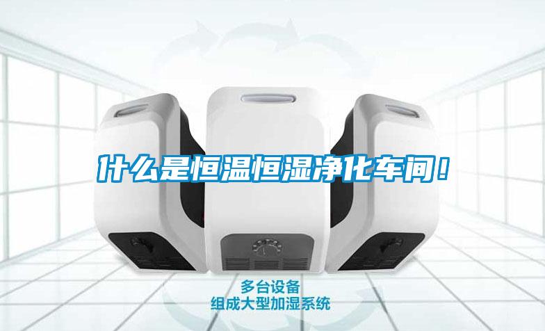 什么是恒溫恒濕凈化車間！