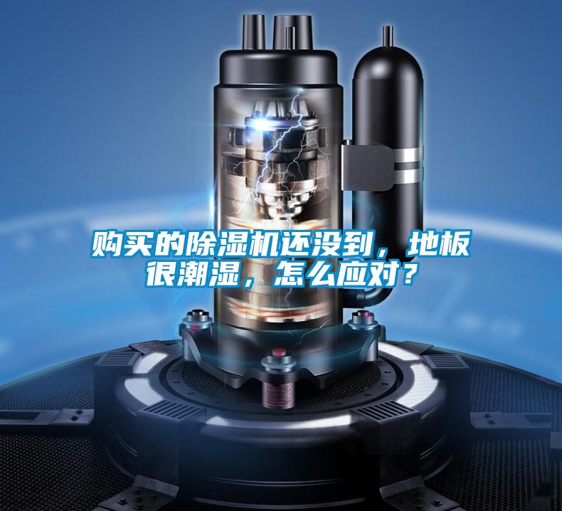 購買的除濕機還沒到，地板很潮濕，怎么應(yīng)對？