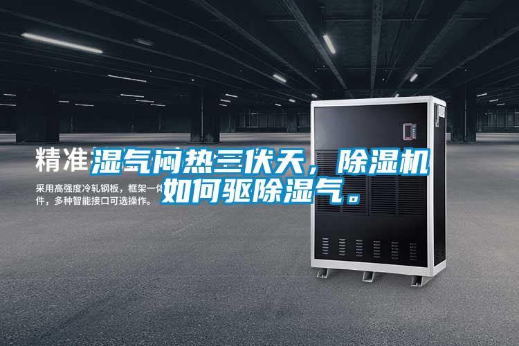 濕氣悶熱三伏天，除濕機(jī)如何驅(qū)除濕氣。