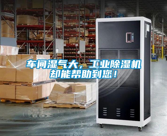車間濕氣大，工業除濕機卻能幫助到您！