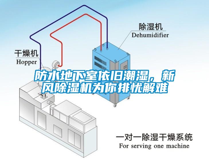 防水地下室依舊潮濕，新風除濕機為你排憂解難