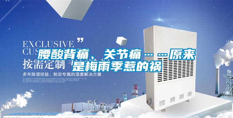 腰酸背痛、關節痛……原來是梅雨季惹的禍